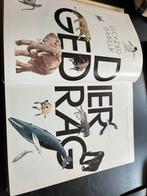 Dierengedrag, Ophalen of Verzenden, Zo goed als nieuw, Natuur algemeen