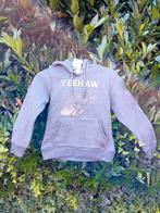 Hoody, grijze trui, met paarden afbeelding.  Nieuw!, Ophalen of Verzenden, Zo goed als nieuw, Overige soorten, Bovenkleding