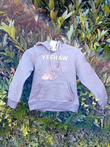 Hoody, grijze trui, met paarden afbeelding.  Nieuw! beschikbaar voor biedingen