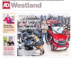 ExcelCare Zenda massage stoel, Ophalen of Verzenden, Nieuw, Overige stijlen