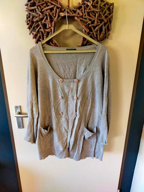 Licht grijze trui vest only maat m, Kleding | Dames, Truien en Vesten, Zo goed als nieuw, Maat 38/40 (M), Grijs, Ophalen of Verzenden