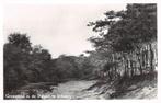 Groenveld, Schoorl in de duinen, Ophalen of Verzenden, 1940 tot 1960, Ongelopen, Noord-Holland
