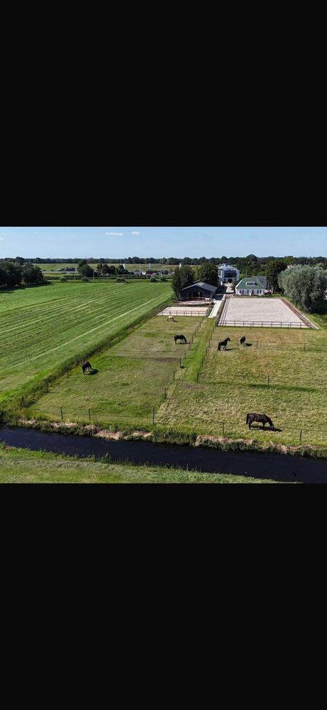 Buitenbaan te huur Naarden, Weidegang, 4 paarden of pony's of meer