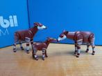 wild life safari dierentuin okapi gezin 6643 100% als nieuw, Ophalen of Verzenden, Zo goed als nieuw, Complete set