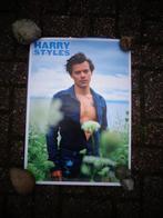 Harry styles poster 42 x 60 cm, Ophalen of Verzenden, A1 t/m A3