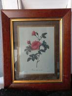 vintage afbeelding rozen, Ophalen of Verzenden, Minder dan 50 cm, Schilderij, Minder dan 50 cm