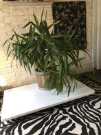 Verrijdbare tafel, Ophalen, Minder dan 45 cm, Gebruikt, 75 cm of meer