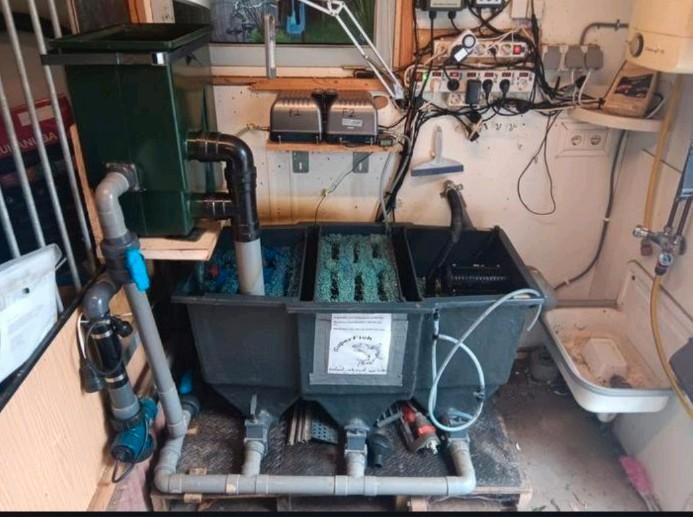 Te koop compleet filter systeem
3 kamerfilter met capaciteit, Tuin en Terras, Vijver-toebehoren, Zo goed als nieuw, Vijverfilter