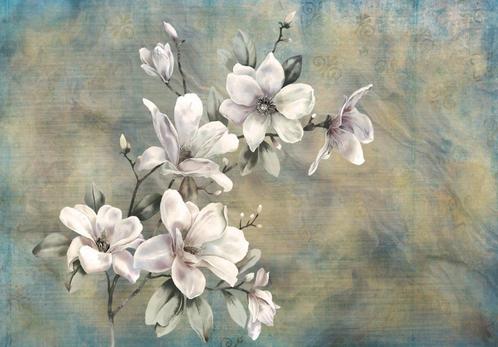 Witte Magnolia fotobehang, Bloem, ook op maat, Muurdeco4kids, Huis en Inrichting, Stoffering | Behang, minder dan 10 m², Verzenden