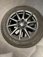 Rial wintervelgen, Ophalen of Verzenden