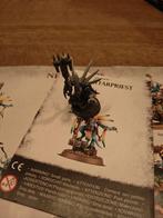 Warhammer Skink Starpriest, Hobby en Vrije tijd, Overige merken, Ophalen of Verzenden, Zo goed als nieuw, Groter dan 1:32