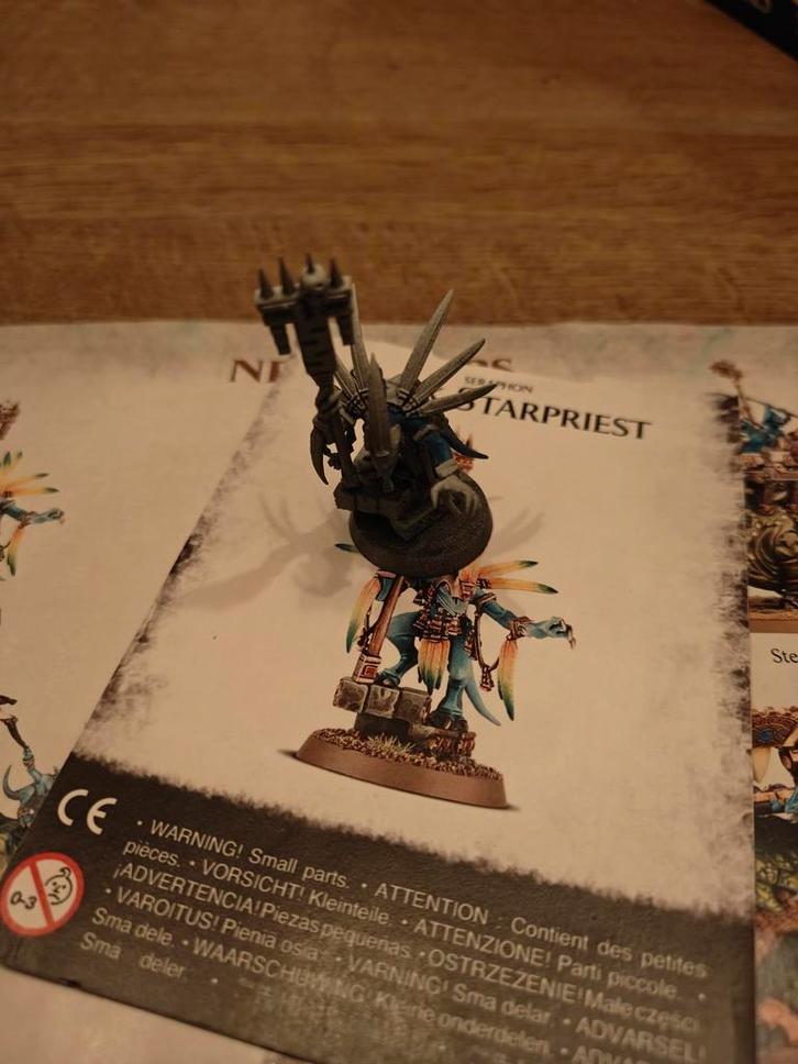Warhammer Skink Starpriest, Hobby en Vrije tijd, Modelbouw | Auto's en Voertuigen, Zo goed als nieuw, Overige typen, Groter dan 1:32