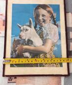 Vintage meisje met geit, glas glazen wanddecoratie 20x27cm, Gebruikt, Ophalen of Verzenden, H, H