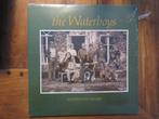 The Waterboys Fisherman's Blues (Mustard), Ophalen of Verzenden, 12 inch