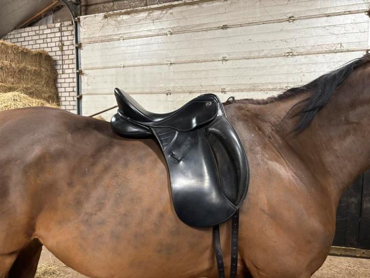 Kieffer Dressuurzadel 17.5”, Dieren en Toebehoren, Paarden en Pony's | Zadels, Gebruikt, Dressuur, Ophalen