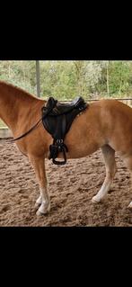 Boomloos zadel zwart, Ophalen of Verzenden, Western