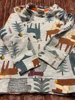 Hema trui maat 74 - unisex, Ophalen of Verzenden, Zo goed als nieuw, Hema