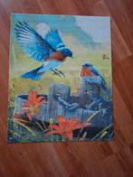 Daimond panting ijsvogels, Ophalen