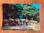 Drenthe. Hunebed. Jaren 70., Ophalen of Verzenden, 1960 tot 1980, Ongelopen, Drenthe