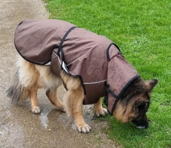 Honden regenjas / regencape XXL, Dieren en Toebehoren, Hondenkleding, Zo goed als nieuw, Hondenregenjas, Ophalen of Verzenden
