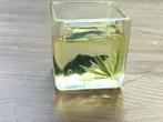 realistisch miniatuur aquarium, Ophalen of Verzenden, Zo goed als nieuw, Decoratie