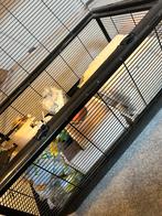 Hamsterkooi zwart met veel toebehoren!, Dieren en Toebehoren, Knaagdieren en Konijnen | Hokken en Kooien, Kooi, Minder dan 60 cm