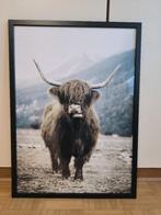 Mooie poster bizon in de natuur inclusief Ikea Fiskbo lijst, Rechthoekig Staand, Met lijst, Ophalen of Verzenden, Zo goed als nieuw