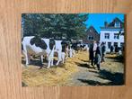 Ansichtkaart Purmerend Koemarkt, Ophalen of Verzenden, 1960 tot 1980, Gelopen, Noord-Holland