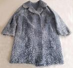 Echte bontjas Perzisch / Echt Pelz Mantel Persianer, Kleding | Dames, Jassen | Winter, Ophalen, Gedragen, Maat 42/44 (L), Grijs
