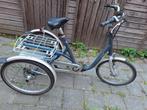 Van Raam elektrische driewieler, Ophalen of Verzenden, Gebruikt