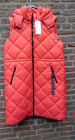 Cream nieuwe gave knalrode bodywarmer maat 46, Kleding | Dames, Maat 46/48 (XL) of groter, Ophalen of Verzenden, Rood, Cream