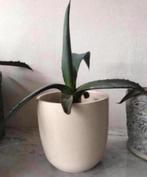 Vintage bloempotten modellen jaren ‘50 luxe kwaliteit, Binnen, Ophalen of Verzenden, Zo goed als nieuw, Overige vormen