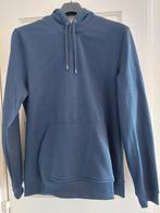 Jean pascale sweater maat M, Kleding | Dames, Truien en Vesten, Ophalen of Verzenden, Zo goed als nieuw, Blauw