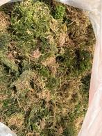 Gedroogd Mos voor Decoratie of Tuin, Ophalen of Verzenden, Overige typen