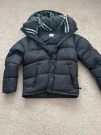 Burberry Winterjas, Ophalen of Verzenden, Zo goed als nieuw, Zwart