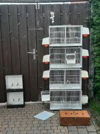 Broed kooi 8 stuks 2tt kooi en een loper 8 broedbakjes, Ophalen