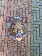 Leuke zwijnekop, Ophalen of Verzenden, Beeldje of Figuurtje