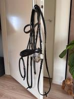 [tk] Kieffer Paris hoofdstel lak maat Cob, Dieren en Toebehoren, Paarden en Pony's | Hoofdstellen en Tuigage, Ophalen of Verzenden