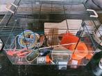 Compleet hamsterverblijf, Dieren en Toebehoren, Knaagdieren en Konijnen | Hokken en Kooien, Kooi, Gebruikt, Hamster, Ophalen