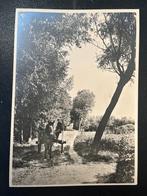 riefkaart ongebruikt Geuzendam 287 f: Haaren, Verzenden, Briefkaart