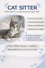 Katten oppas omgeving Groningen stad, Ophalen of Verzenden, Zo goed als nieuw