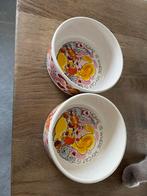 Blond amsrerdam voerbakken kat, Ophalen