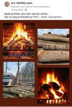 Brandhout, Tuin en Terras, Haardhout, 6 m³ of meer, Ophalen, Stammen