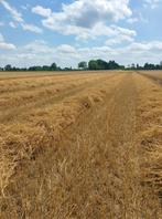 Stro, Dieren en Toebehoren, Ophalen, Vee