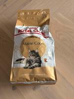 Maine coon brokken Royal canine, Ophalen, Kat