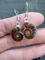 ammoniet oorbellen, Hangers, Bruin, Verzenden, Nieuw