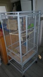 Ruime papegaaien kooi., Dieren en Toebehoren, Ophalen, Zo goed als nieuw, Metaal, Vogelkooi