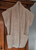 Leuke bodywarmer teddy, Kleding | Dames, Bodywarmers, Ophalen of Verzenden, Gedragen