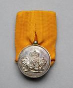 Medaille voor Trouwe Dienst, Zilver, Wilhelmina, Nederland, Ophalen of Verzenden, Landmacht, Lintje, Medaille of Wings