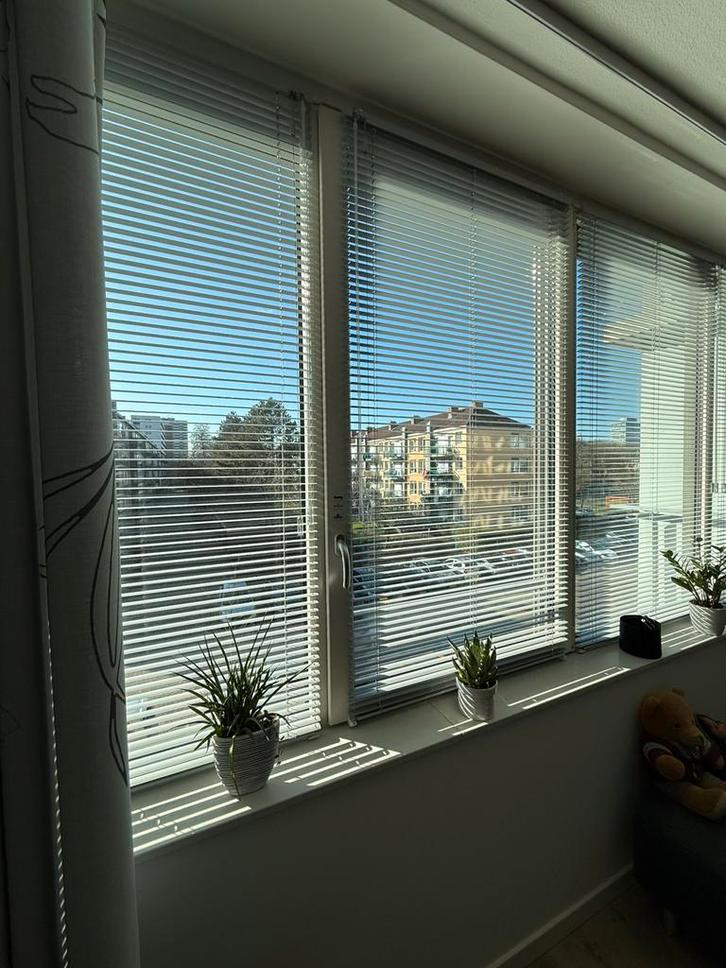 Jaloezieën 3 stuks lichtgrijs, Huis en Inrichting, Stoffering | Gordijnen en Lamellen, Zo goed als nieuw, Minder dan 100 cm, Ophalen